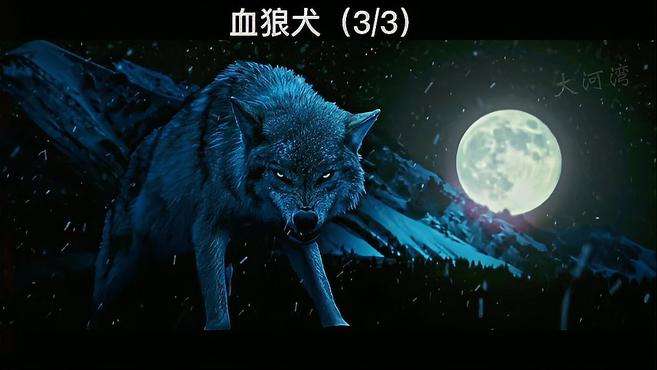 血狼犬大战,忠犬护主大战狼群,你救我一命我还你一世催泪结局