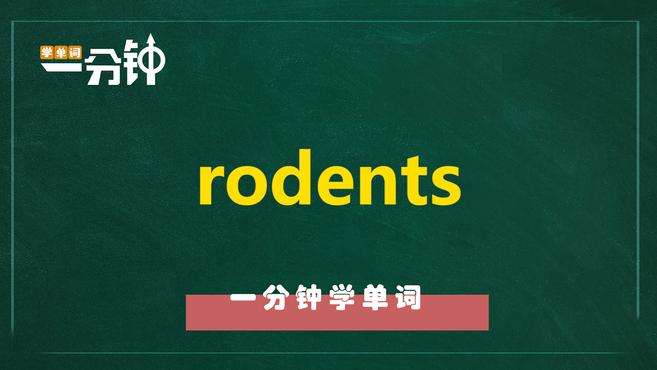 [图]一分钟学英语rodents单词详解