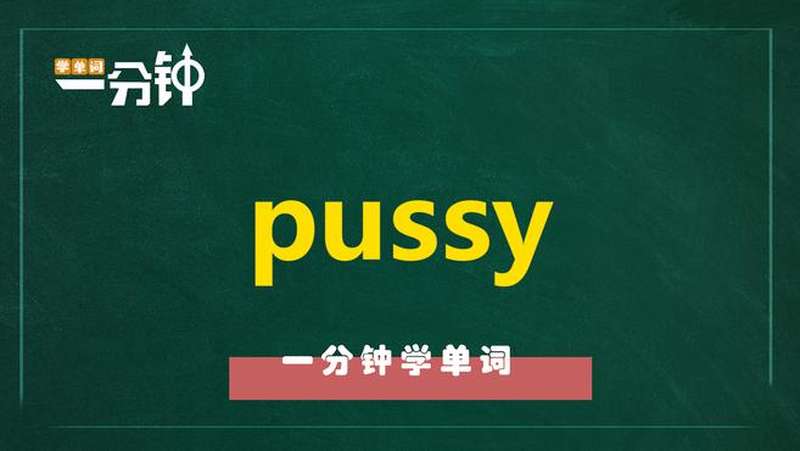 pussy