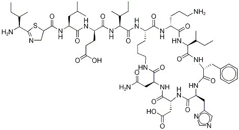 其分子量更大,且肠道溶解性更佳,可在小肠等作用部位发挥最大的抗菌