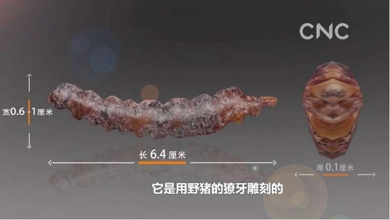 探寻“河洛古国”之一——兽牙蚕雕,文化,艺术,好看视频