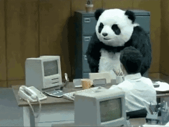 砸电脑熊猫表情包图片