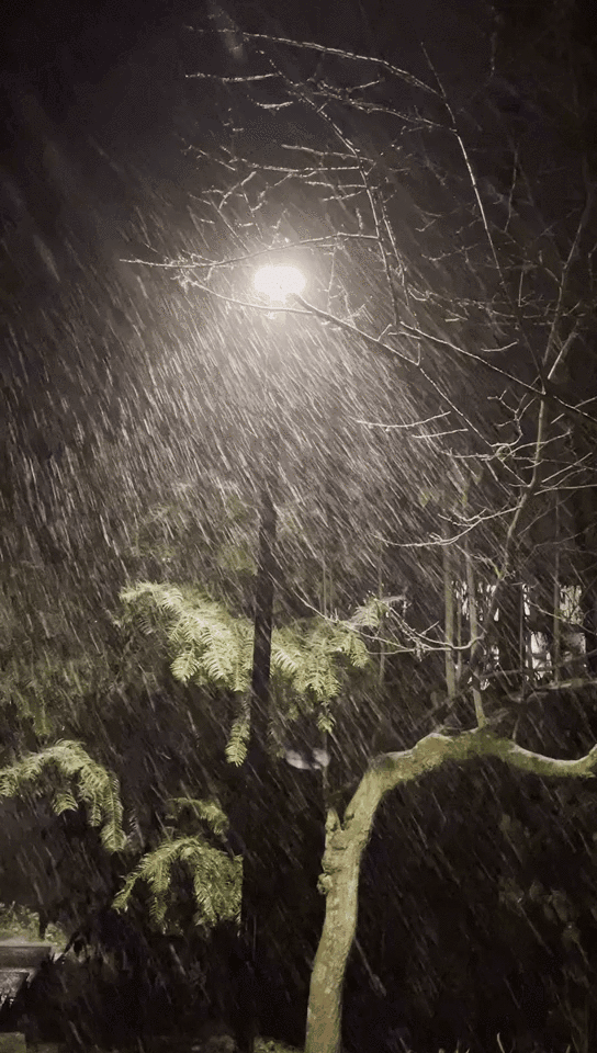 下雪天图片真实晚上图片