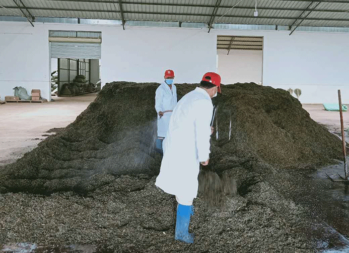 普洱茶每次翻堆的背后,究竟是品质的升华还是工艺的需求?