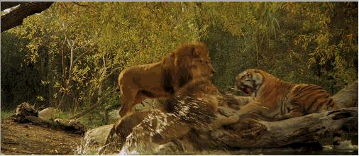 如果把老虎转移到非洲,它能压过狮子鬣狗,成为百兽之