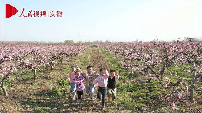 [图]安徽长丰：桃花开了，只待你来！