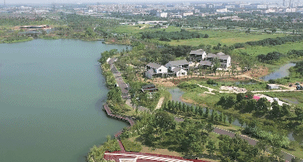 黄泗浦公园面积图片