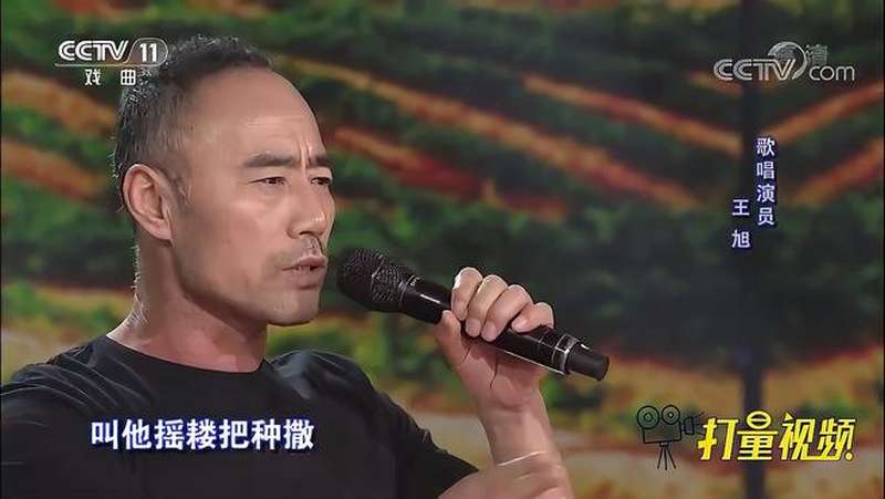 王旭演绎豫剧李双双唱腔浑厚这嗓音绝了梨园闯关我挂帅