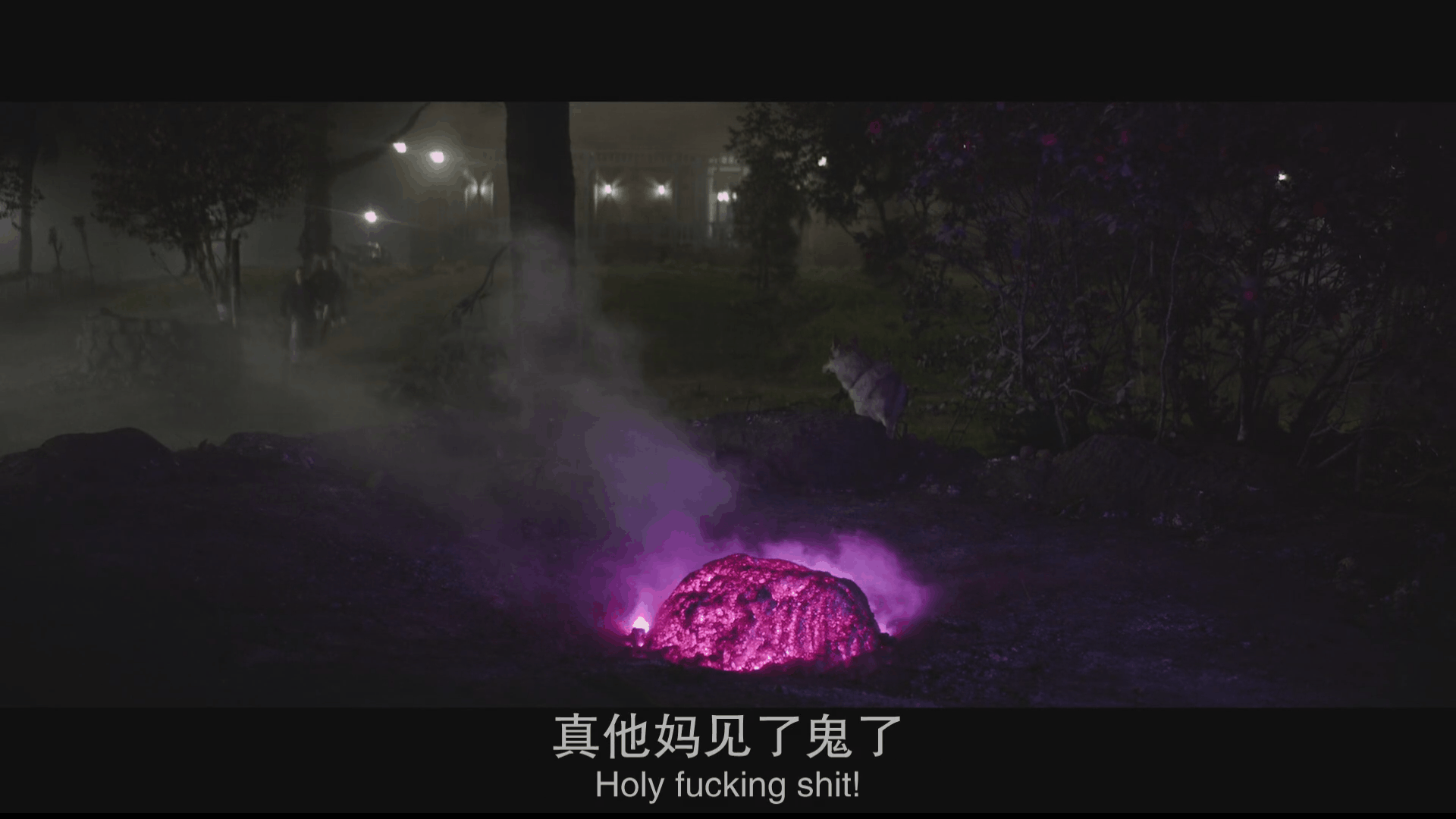 不久后,随着一阵粉红加紫色的光.一颗象征厄运的陨石降临在她家门口.