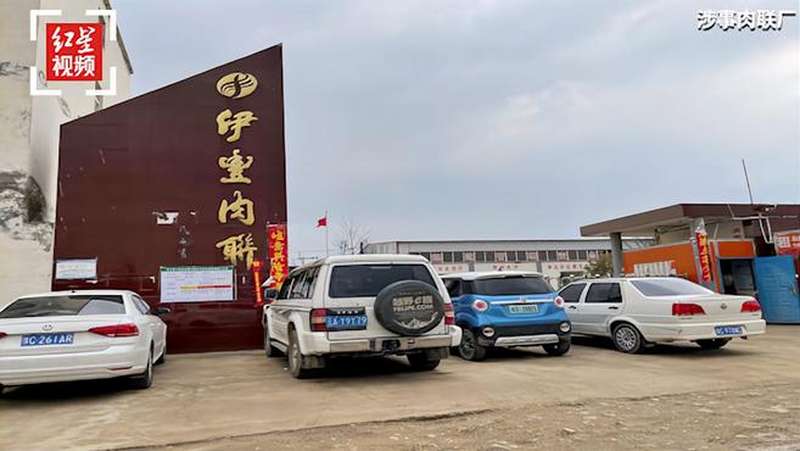 洛阳一检疫员怀疑屠宰场宰杀病死猪，拍照时遭殴打、抢手机,社会,法制,好看视频