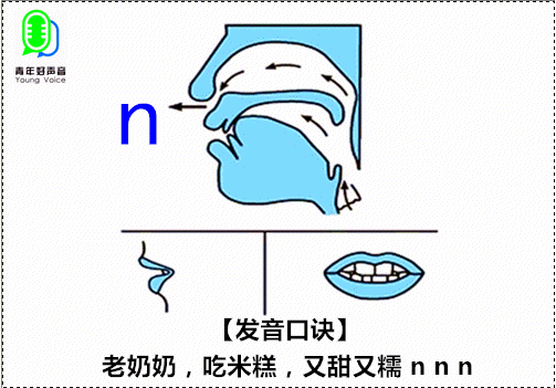 dtnl舌尖中音图片