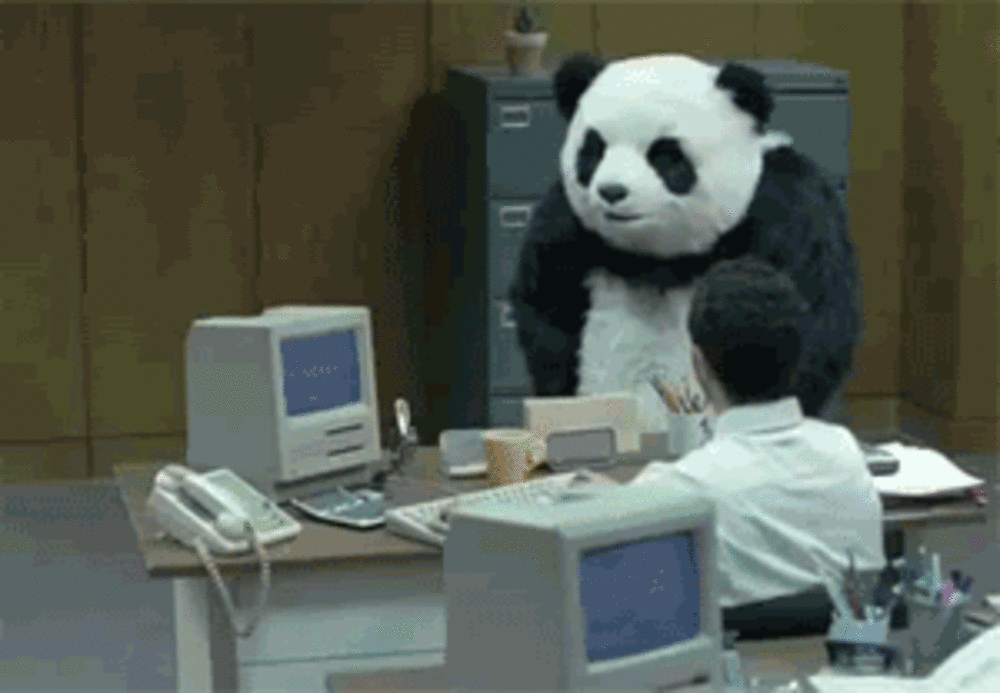熊猫砸电脑动图图片