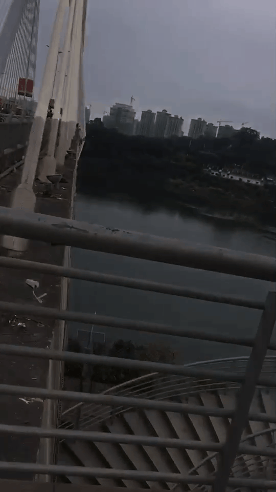 南河大桥跳桥图片