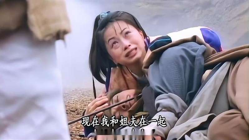 天龙阿紫为爱殉情抱着乔峰尸体跳崖自尽游坦之随后亦自杀