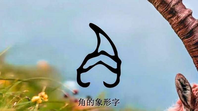 斜部首 _ 斜とは 部首 – WIEJI