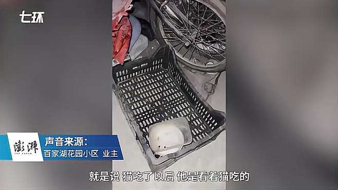 南京一小区多只流浪猫疑遭虐杀，物业：配合警方处理
