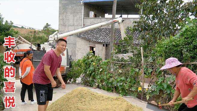 [图]晓静家收稻谷啦，望着堆积成山的谷子，军哥脸上洋溢着丰收的喜悦