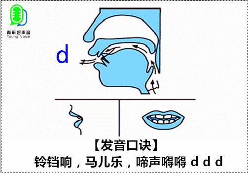 dtnl舌尖中音图片